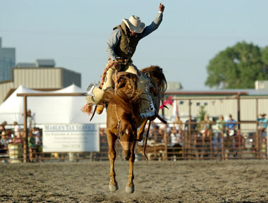 Mustang Rodeo