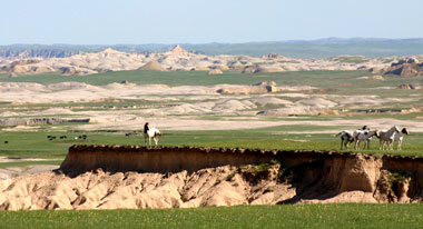Mustangs Badlands