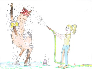 Pferd waschen